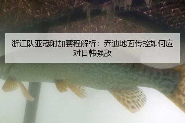 zhe-jiang-dui-ya-guan-fu-jia-sai-cheng-jie-xi-qiao-di-di-mian-chuan-kong-ru-he-ying-dui-ri-han-qiang-di-3-337.jpg