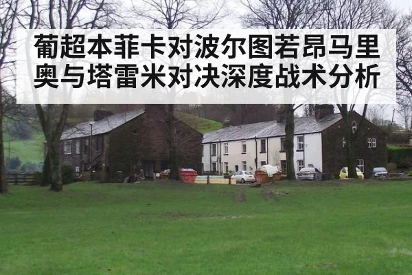 葡超本菲卡对波尔图若昂马里奥与塔雷米对决深度战术分析
